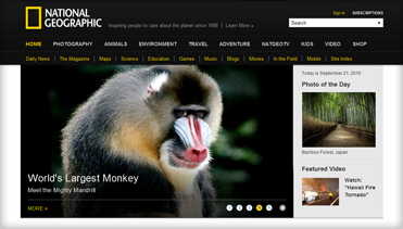 在哪充值安全的轰炸电话在线下单